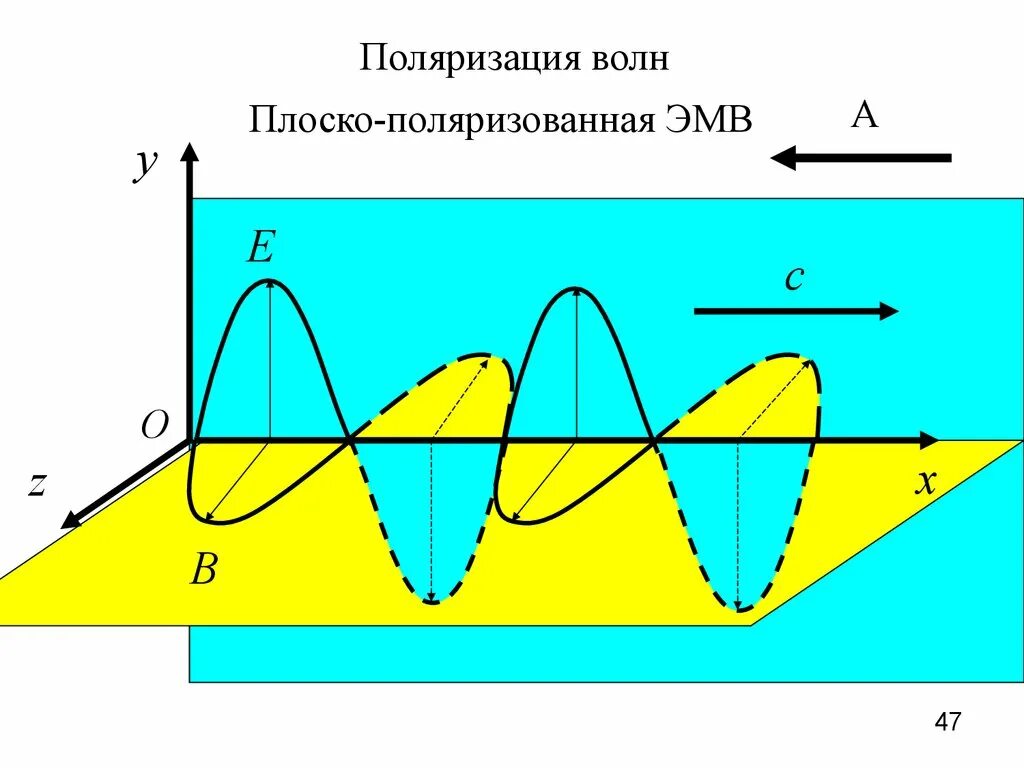 Поляризация электромагнитных волн. Поляризация поперечных световых волн. Поляризованный свет это в физике. Поляризация света. Поляризация каких волн.