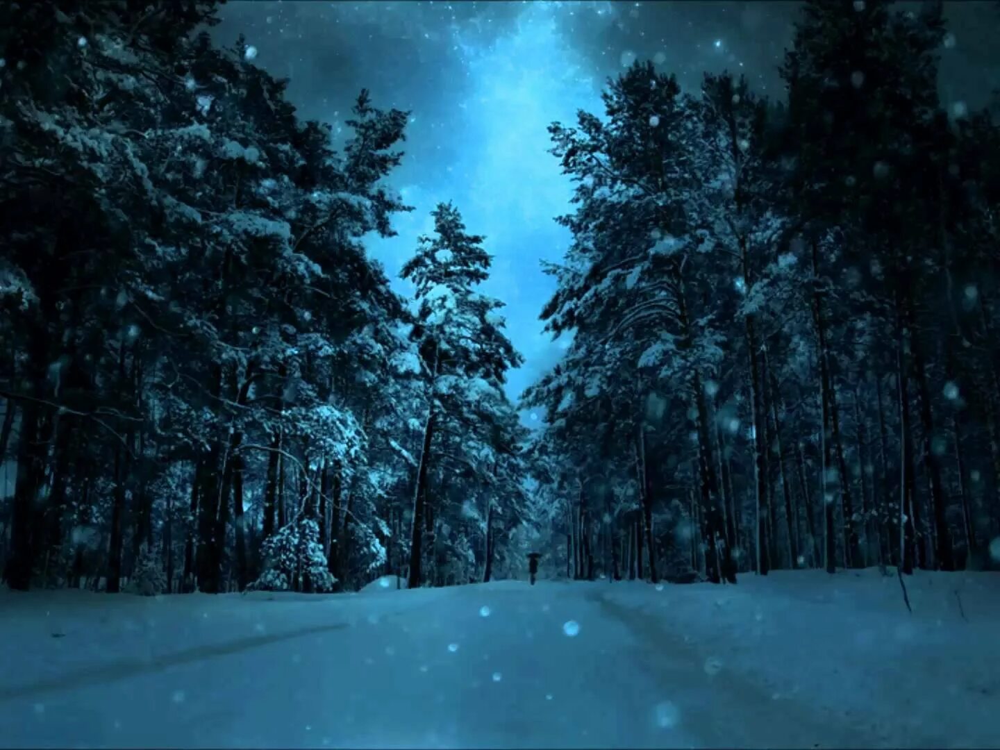 Мрачный снег. Дарк Винтер. Ночной зимний лес. Зимний лес ночью. Темный снежный лес.