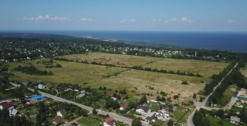 Пеники поселок. Пеники Ленинградская область. Пеники Прибрежная.