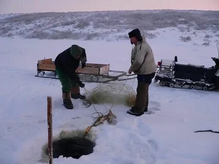 Видео рыбалки сетями на севере