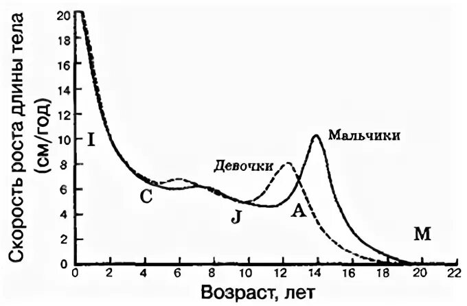 Изменение скорости роста. Кривая роста человека. Пубертатный скачок роста. Темпы роста у мальчиков подростков. Скорость роста человека.