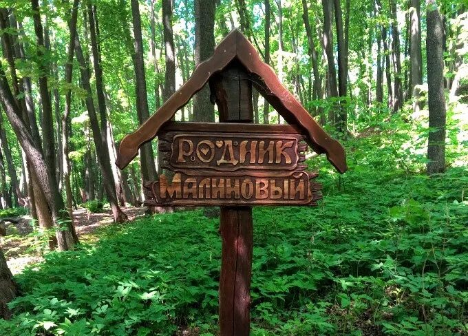 Родник май. Малиновый Родник Кумысная Поляна. Кумысная Поляна Саратов Родник. Родник на Кумысной Поляне Саратов. Кумысная Поляна Саратов малиновый Родник.