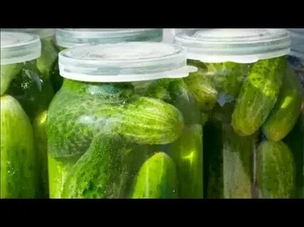 Огурцы под пластиковой крышкой