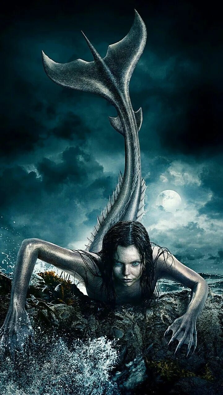 Герой дота 2 нага сирена. Сирен сайрен. Sirena - папка обложка. Сирены русалки. Дота 2 naga siren.