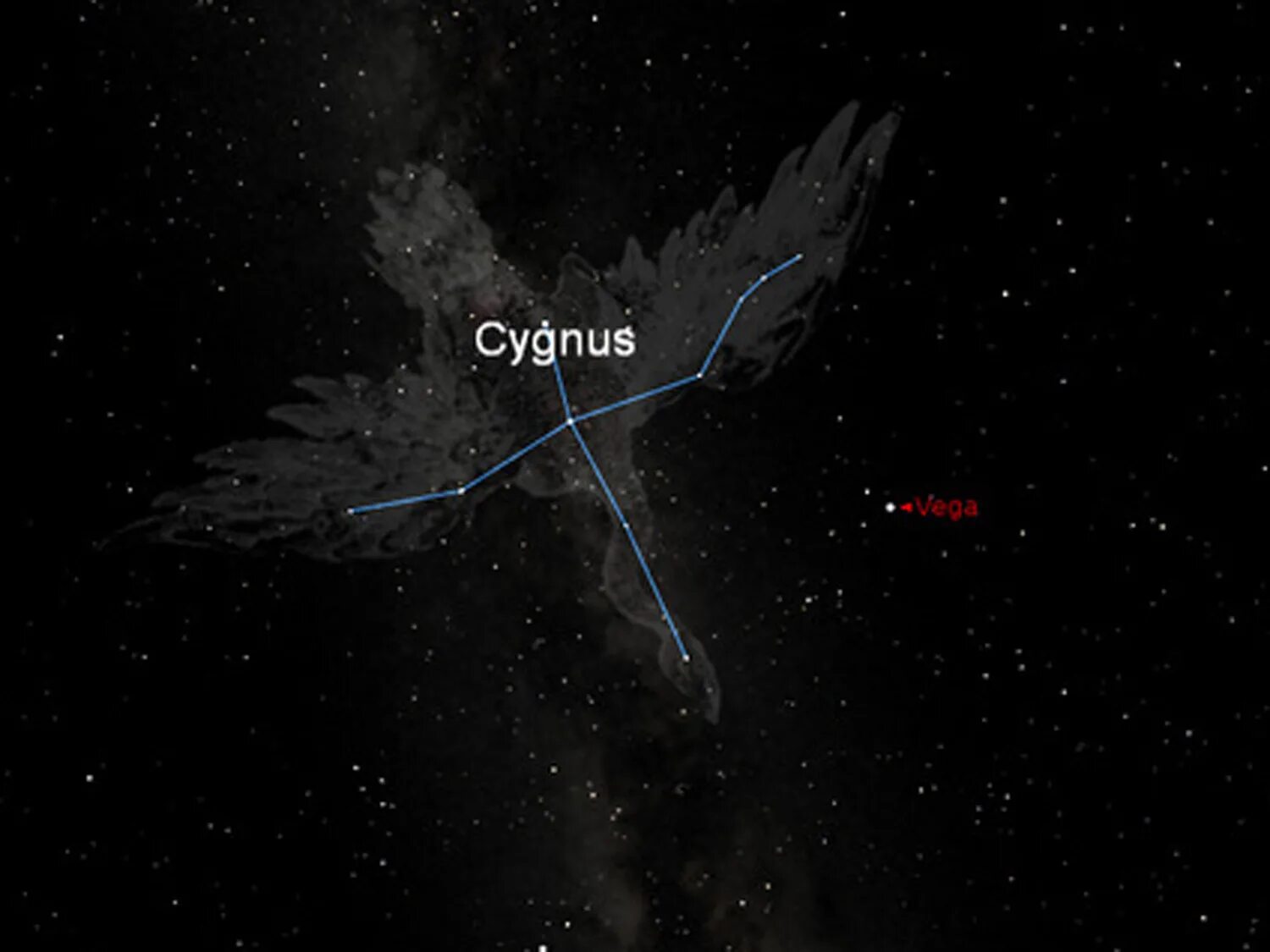 созвездие лебедь бетельгейзе. созвездие лебедь вертикальное фото. денеб альфа лебедя. альбирео в созвездии лебедя. звезда hd 188753 в созвездии лебедь.