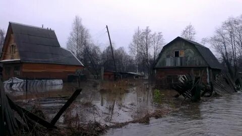Н тагил монзино