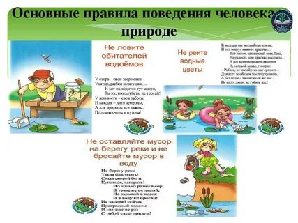 Правила безопасного поведения в лесу летом