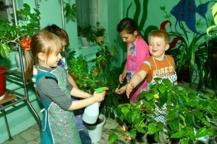 Уроки экологического воспитания. Экология в детском саду. Экология в ДОУ. Кружок экология в детском саду. Эколог в детском саду.