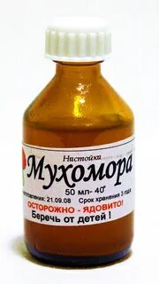 Настойка из мухоморов лечение