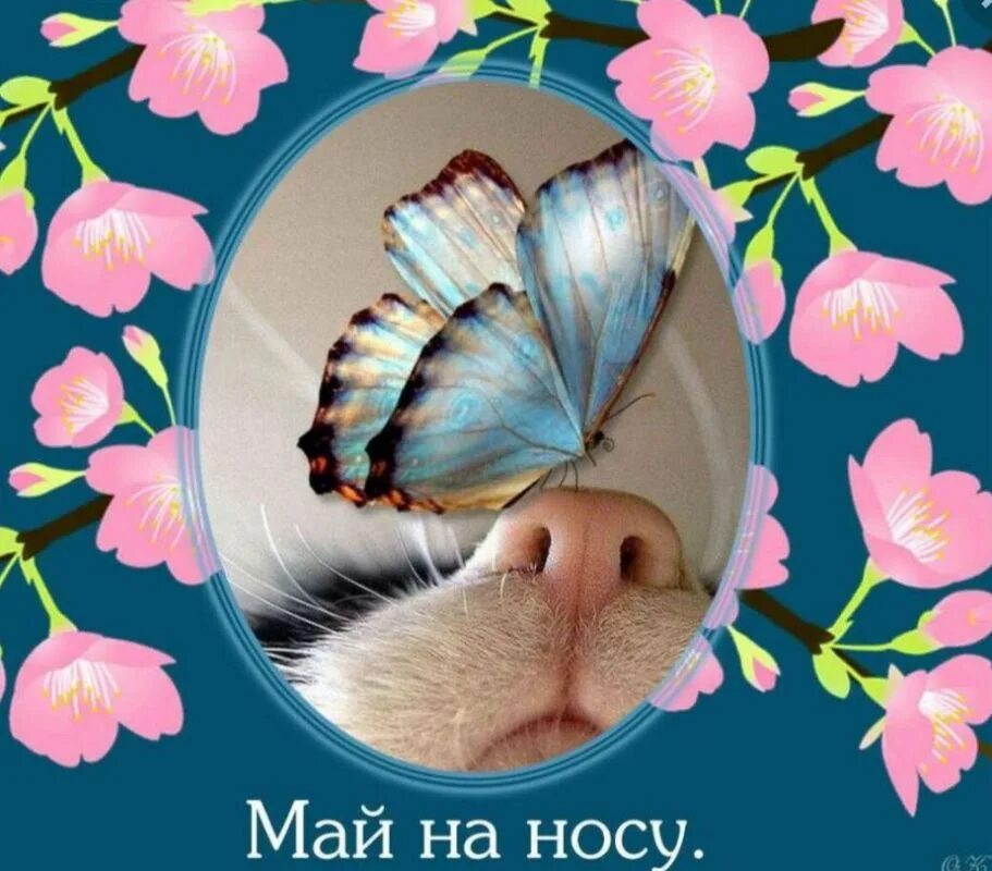 Хорошего дня последний день апреля