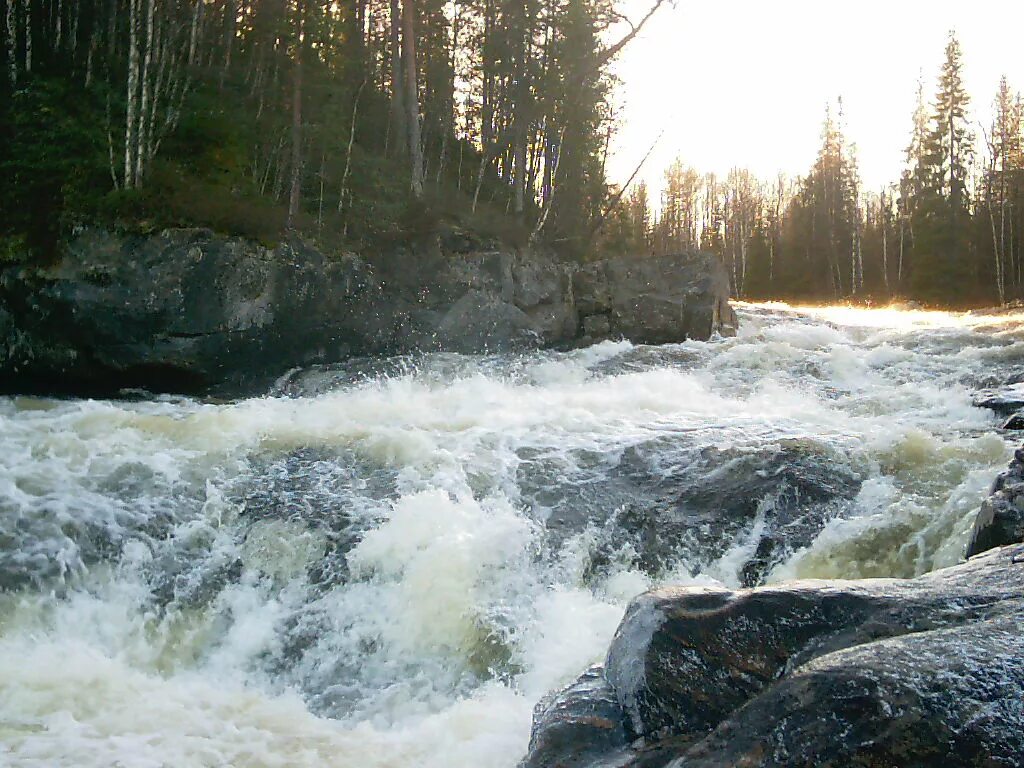 Сосново бурная река. В течении реки. Сильное течение реки. Течение воды.