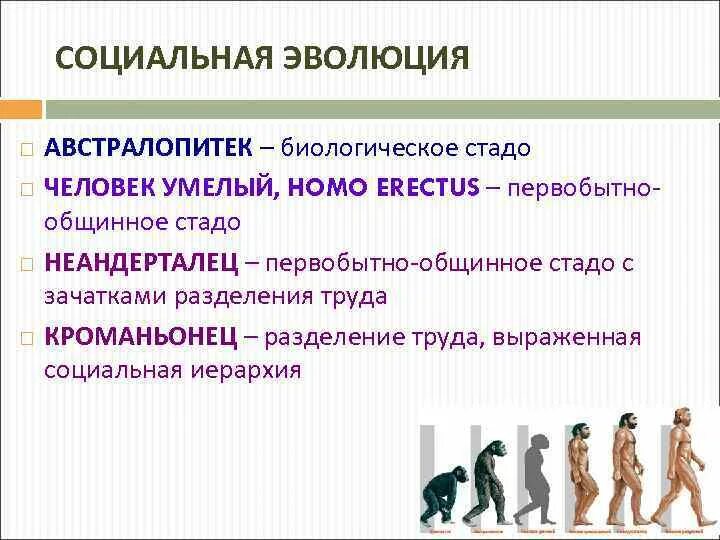 Социальную эволюцию языка. Социальную эволюцию языка