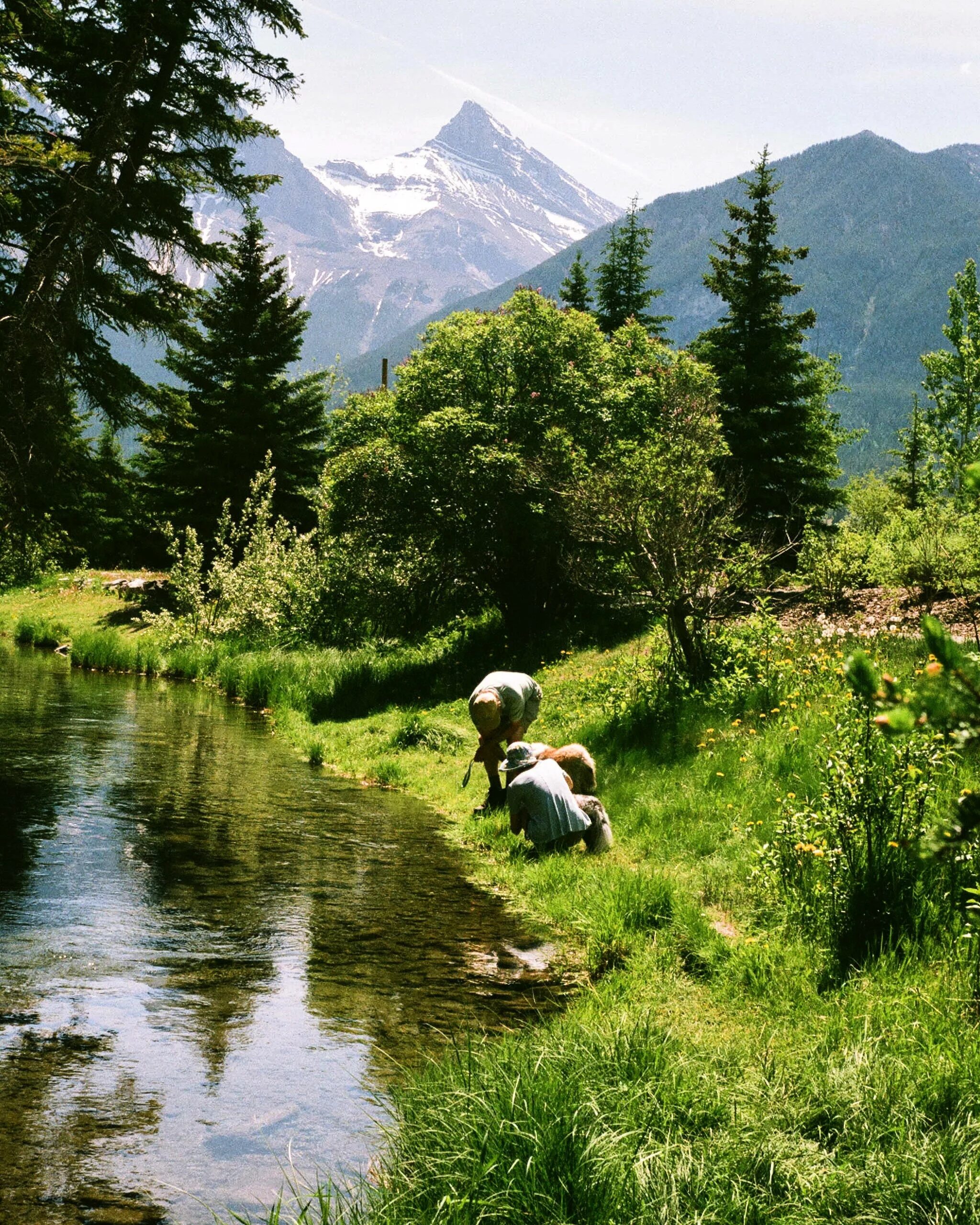 Tourism ecotourism. Экотуризм. Экологический туризм. Зеленый туризм. Экотуризм в лесу.