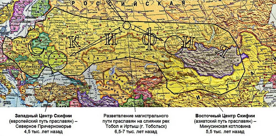 Программа скифи