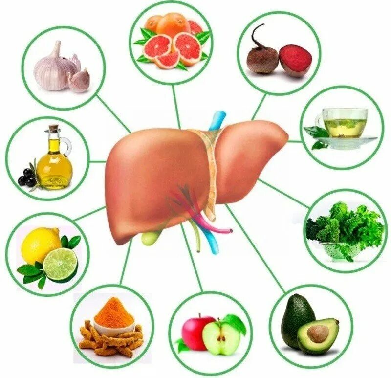 Печени не любит питание. Какая еда полезно для печени. продукты для печени. фрукты и овощи полезные для печени. здоровая печень питание.