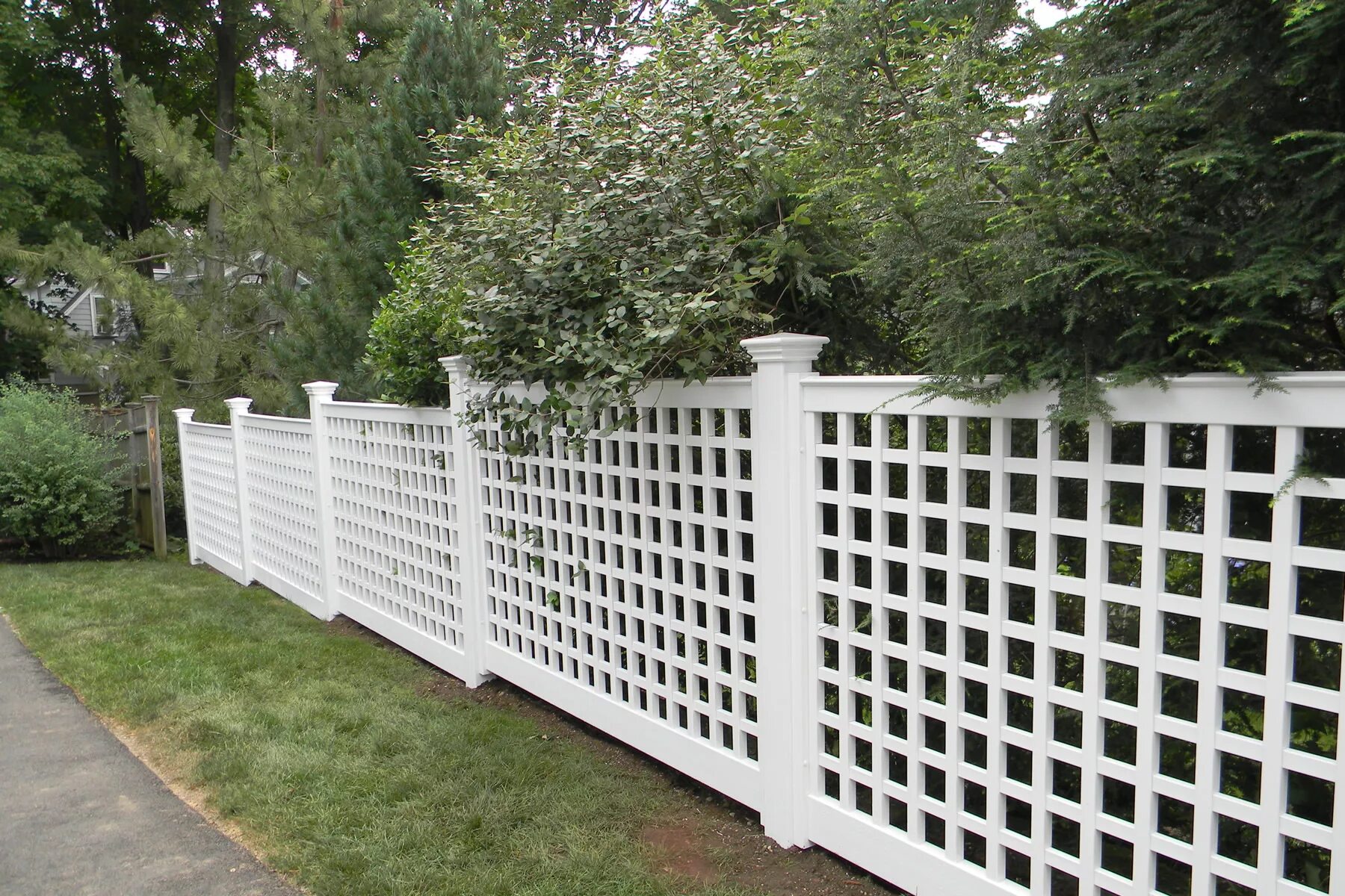 Железный забор. Шпалера "решётка прямая" ( в- 1,8 м, ш- 0,85 м). Забор решетка деревянный. Декоративные заборы для сада и огорода. Забор решетка деревянный.