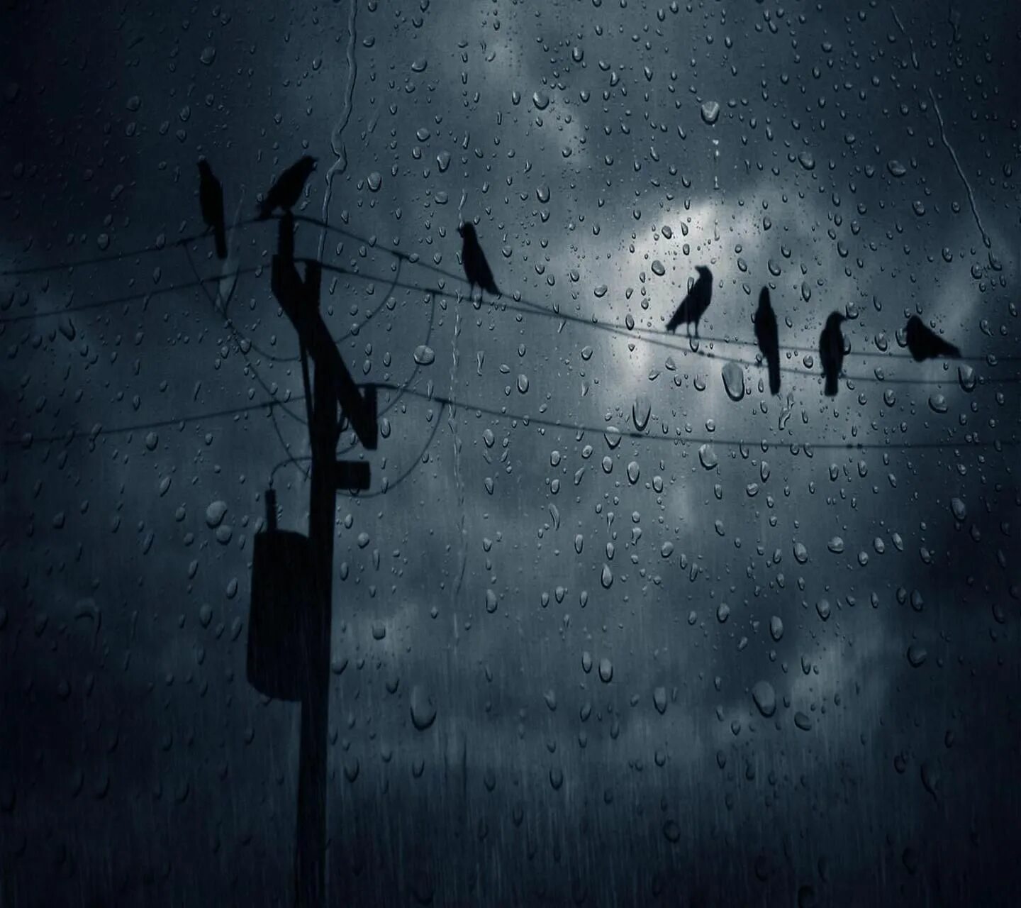 Rain track