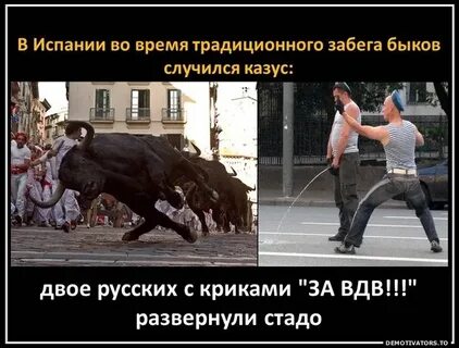 Случился казус