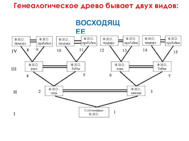 Фрагмент родословного древа семьи впр. Как составить родословная семьи схема. Генеалогическая схема рода. Генеалогическое Древо семьи схема составления. Как составляется схема родословной.