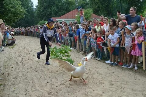 Рязань гусь
