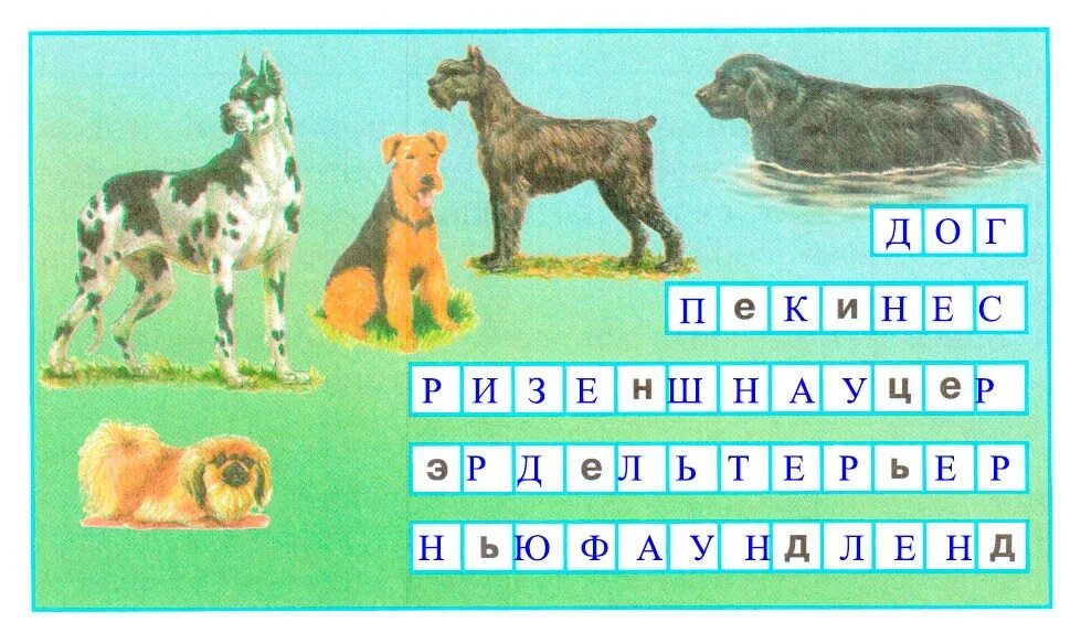 Как называются эти породы собак окружающий мир