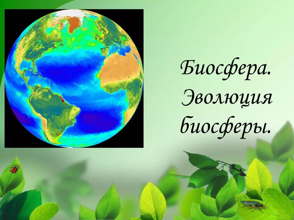 Биосфера. Эволюция биосферы презентация. Формирование биосферы. Эволюция биосферы по Вернадскому.