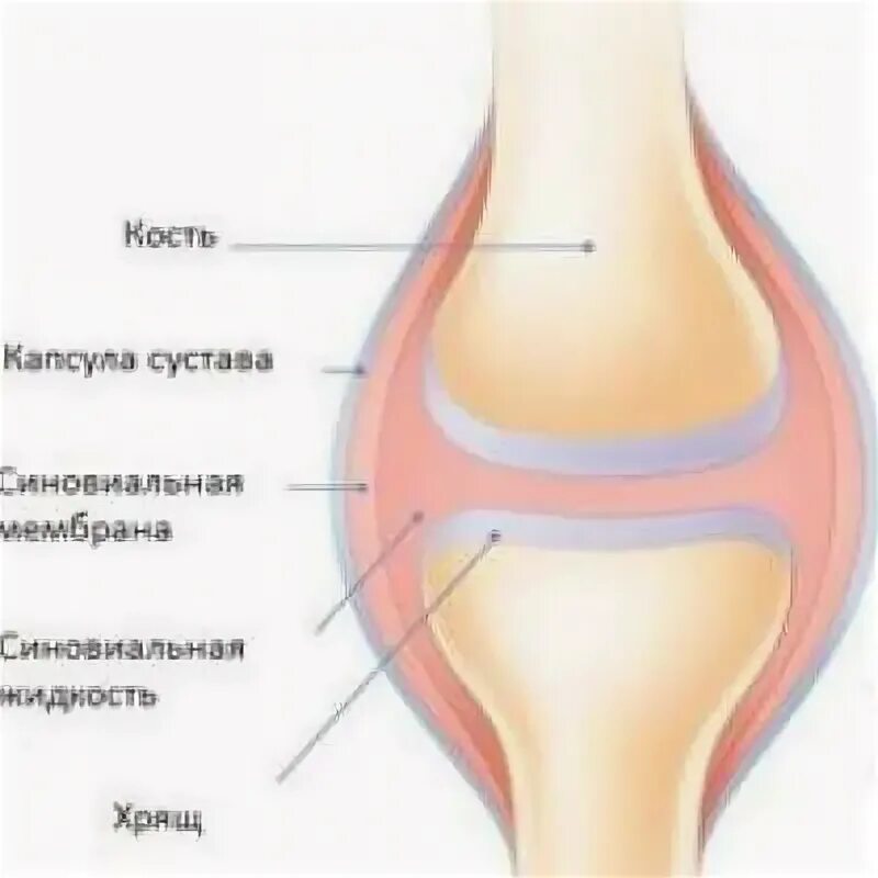 Суставная капсула. Для суставов капсулы. Лопнула суставная капсула колена. Капсула сустава тонкая колено.