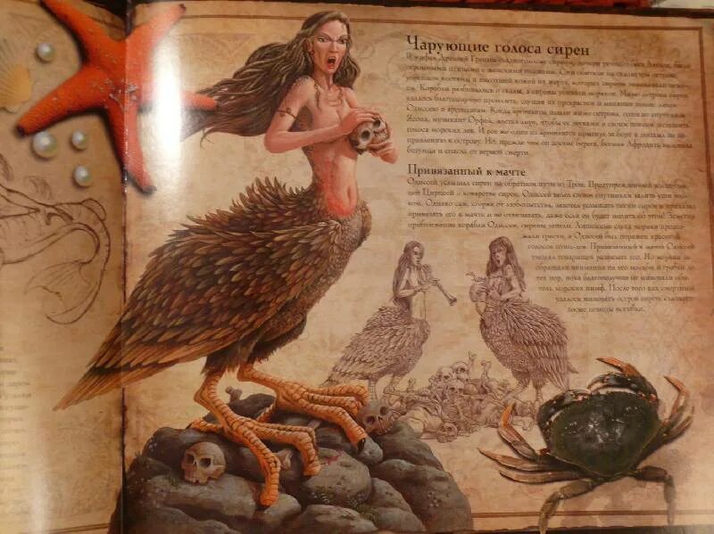 Сапатисты мифические существа. Келпи шотландская мифология. Мифические существа мифы и легенды. Азовка мифическое существо. Мифические существа мифы и легенды.