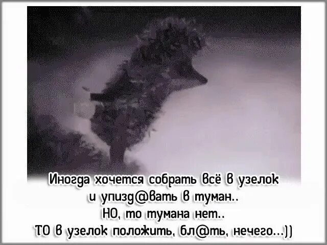 Эх взять. Хочется собрать все в узелок и уйти. Иногда хочется собрать всё в узелок. Иногда хочется уйти в туман. Хочется собрать узелок.