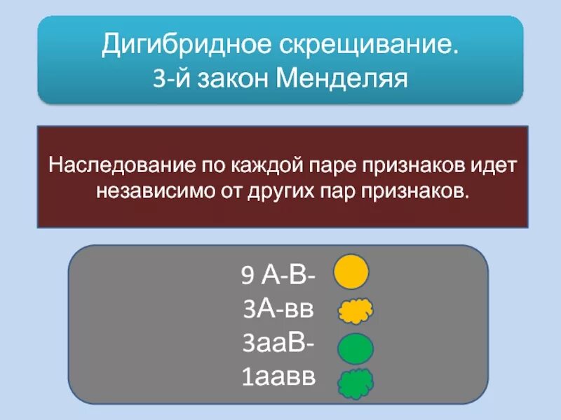 Дигибридное скрещивание закон. Дигибридное скрещивание презентация. Наследование признаков при ди. Дигибридное независимое наследование.