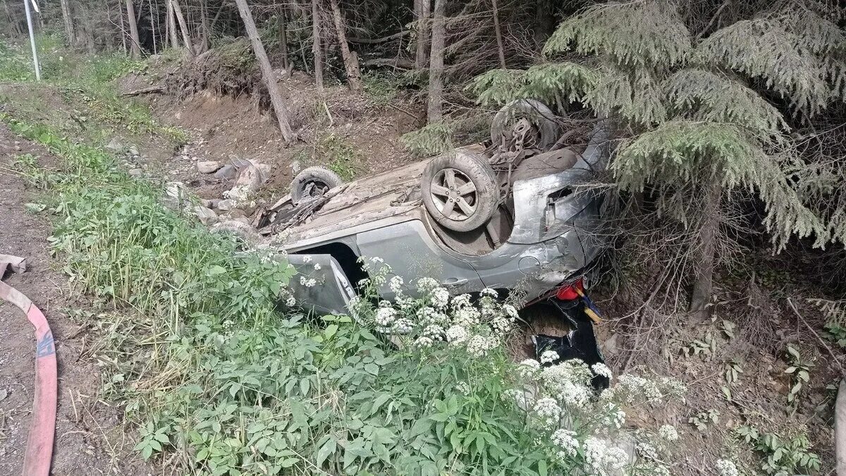 Под петрозаводском. Под петрозаводском