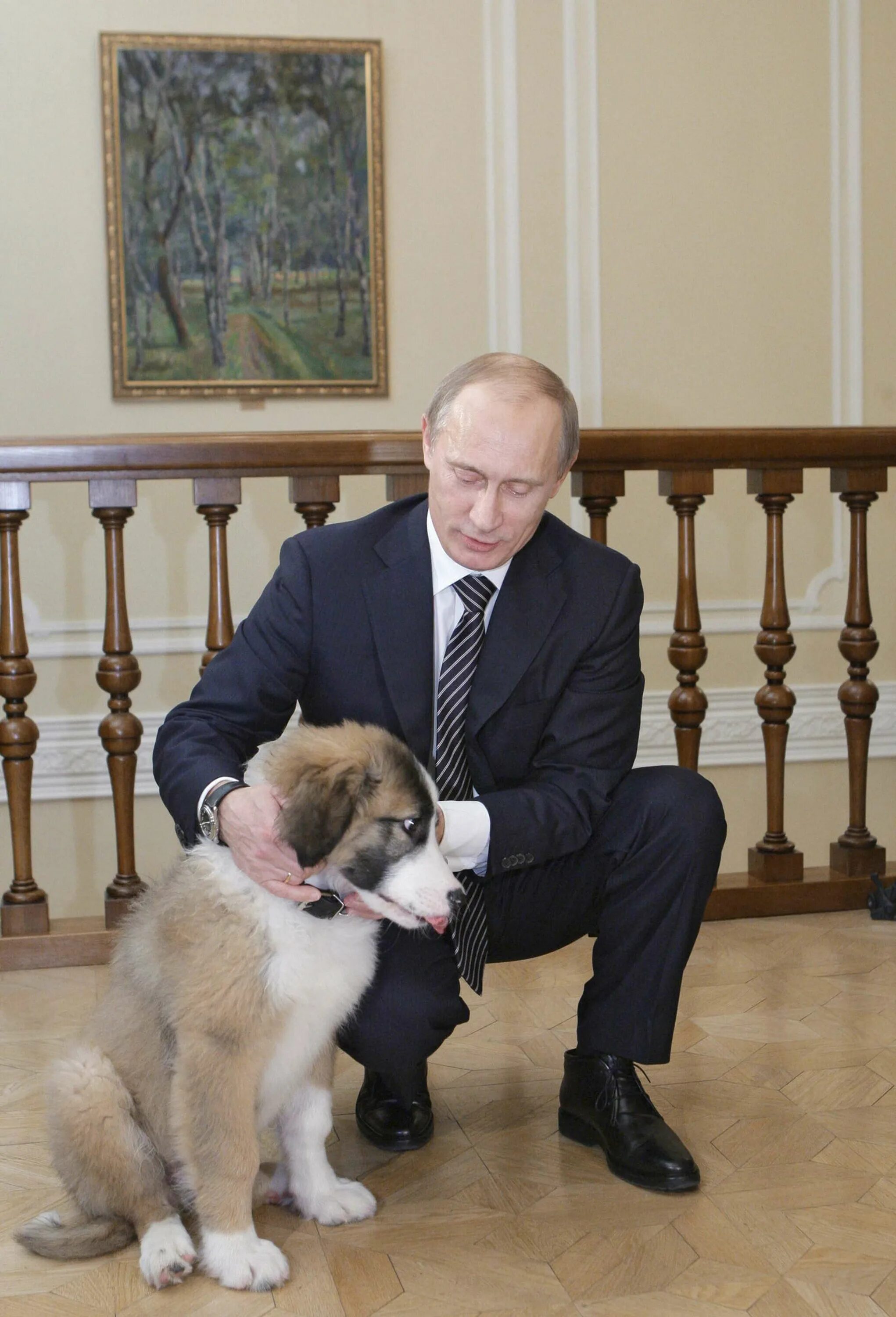 Какого щенка подарили