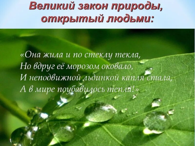 Законы природы определение. Законы природы. Основные законы природы. Законы природы примеры. Законы природы для человека.