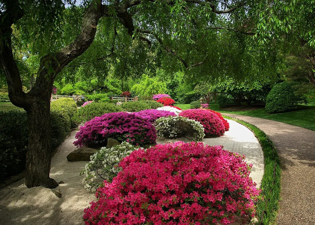 Ландшафтный сад в англии бель шото. Почему сад называется садом. Садово-парковая архитектура (ландшафтная архитектура). Английский сад с хвойниками. Какой в каком саду улица как называется сад как называется.