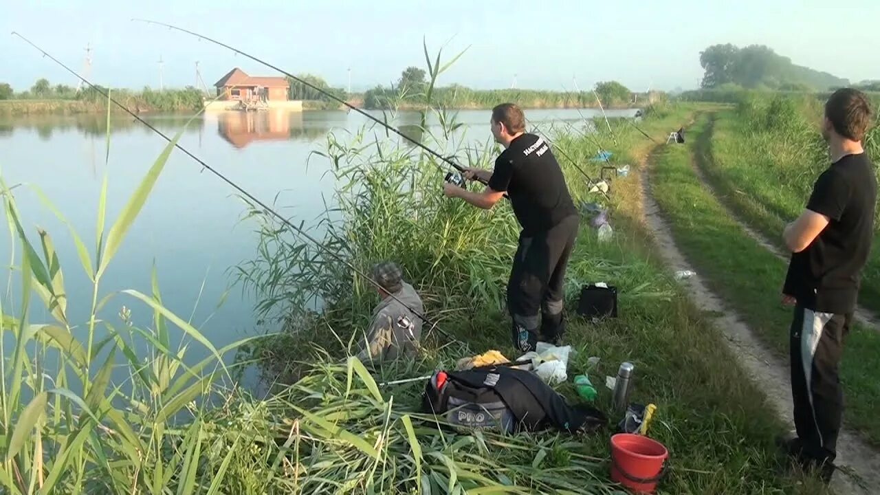 Ловля рыбы в краснодарском крае. Маевские пруды рыбалка. Маевские пруды Славянский район. Пруды Краснодарского края. Марьянские пруды Краснодарский край рыбалка.