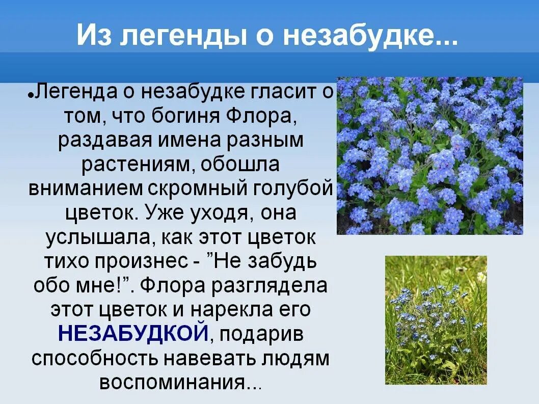 Легенды о растениях и животных
