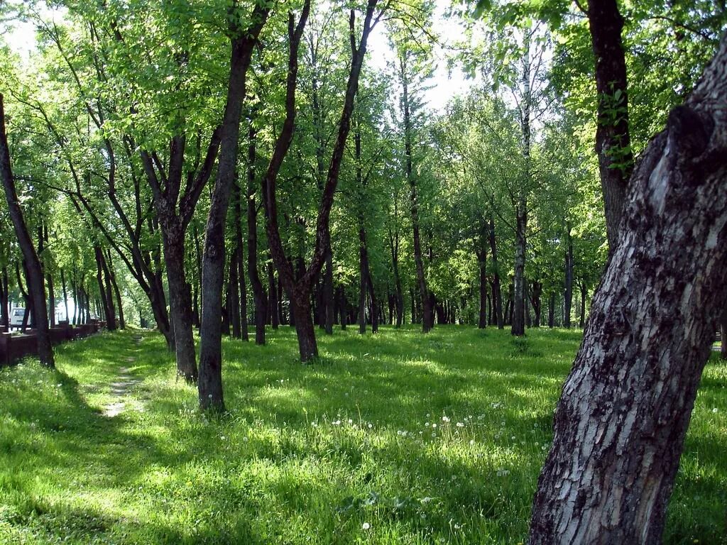 Парк в партизанском. Парк Партизанской славы. Витебский парк. Сквер Партизанской славы. Витебск парк.