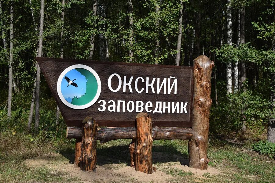 Окский заповедник кратко. Брыкин бор заповедник. брыкин бор рязанская область заповедник. окский государственный природный биосферный заповедник.