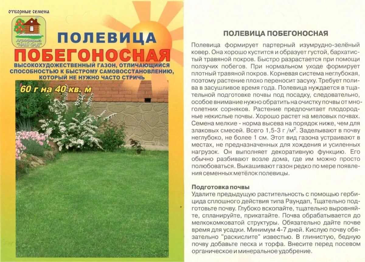 Полевица побегоносная для газона. Полевица побегоносная семена. Газонная трава Полевица побегоносная. Полевица кроми побегоносная газон. Трава Полевица для газонов.