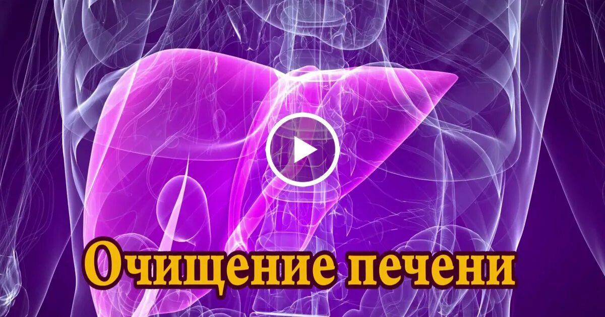 Отзывы очистки печени. Очищение печени 3 6 9.