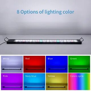 Led gr