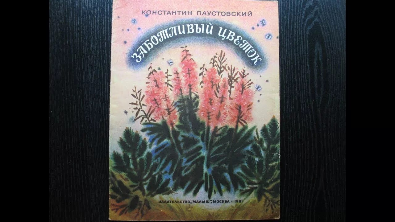 Цветы на паустовского. Паустовский заботливый цветок кипрей. Заботливый цветок Паустовский. К. Г. Паустовский. «Заботливый цветок»..