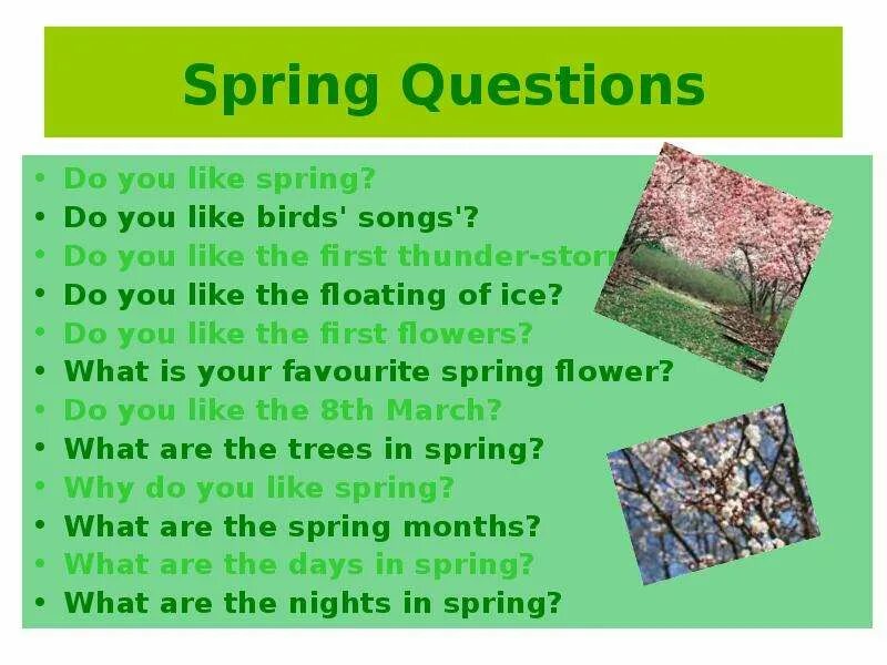 Questions did you like. Spring questions. Questions about Spring. Do you like Spring. Do you like best?.