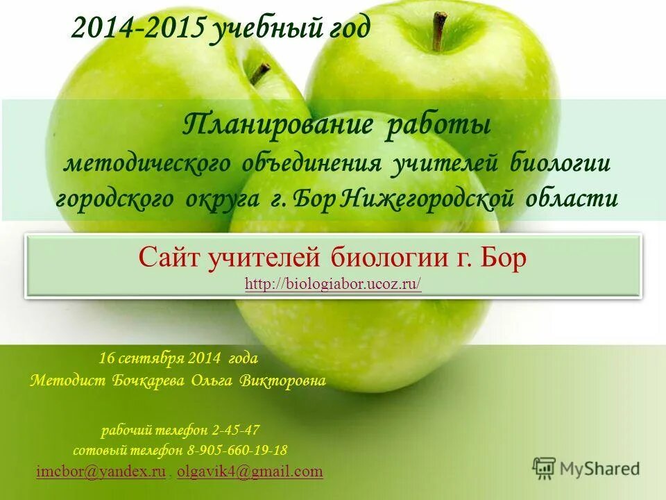 план по самообразованию учителя. тематическое планирование по биологии. план медодическогообъединения. план работы учителя биологии. перспективный план работы кабинета.