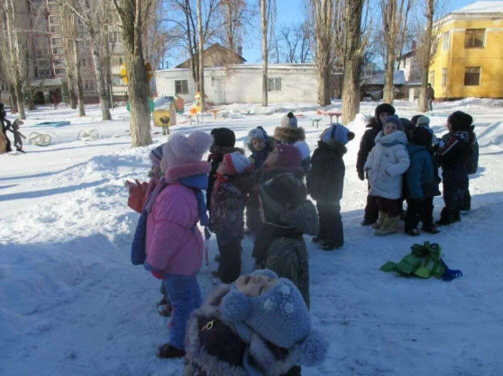 Прогулка наблюдение за деревьями зимой. Дети рассматривают деревья зимой. Наблюдения за небом зимой. Дети наблюдают в ДОУ за небом. Целевая прогулка в подготовительной группе