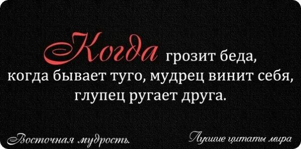 Грозит беда. Мудрец винит себя глупец. Мудрец винит себя глупец ругает друга. Мудрец винит себя глупец ругает друга цитата. Мудрец винит себя глупец ругает друга когда грозит беда бывает Туго.