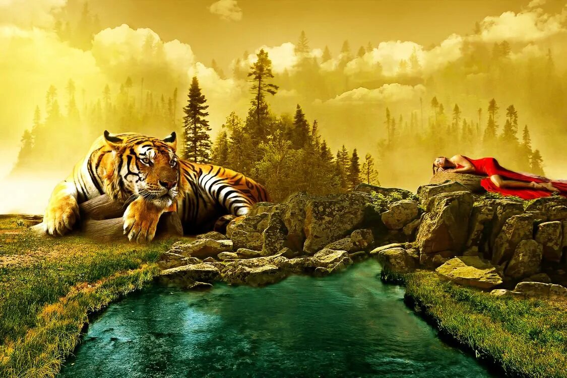 3 д звери. Тигр. Тигр в природе. Пейзаж с тигром. Красивые пейзажи с тиграми.