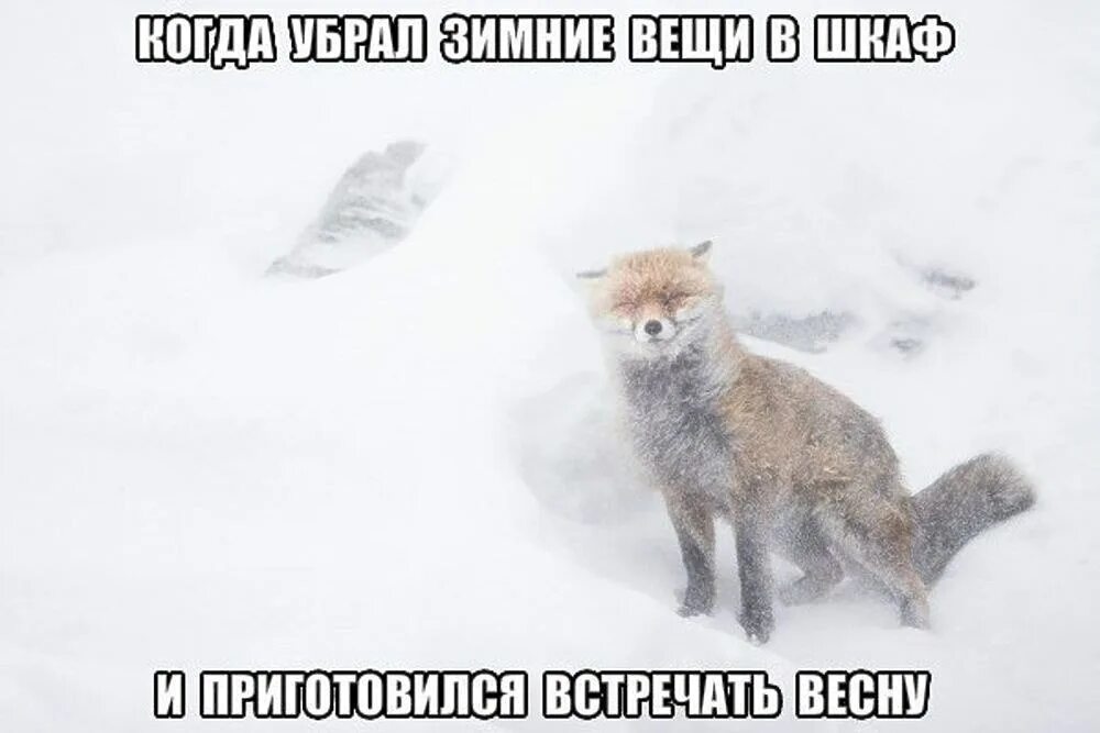 Надеюсь летом снега будет поменьше