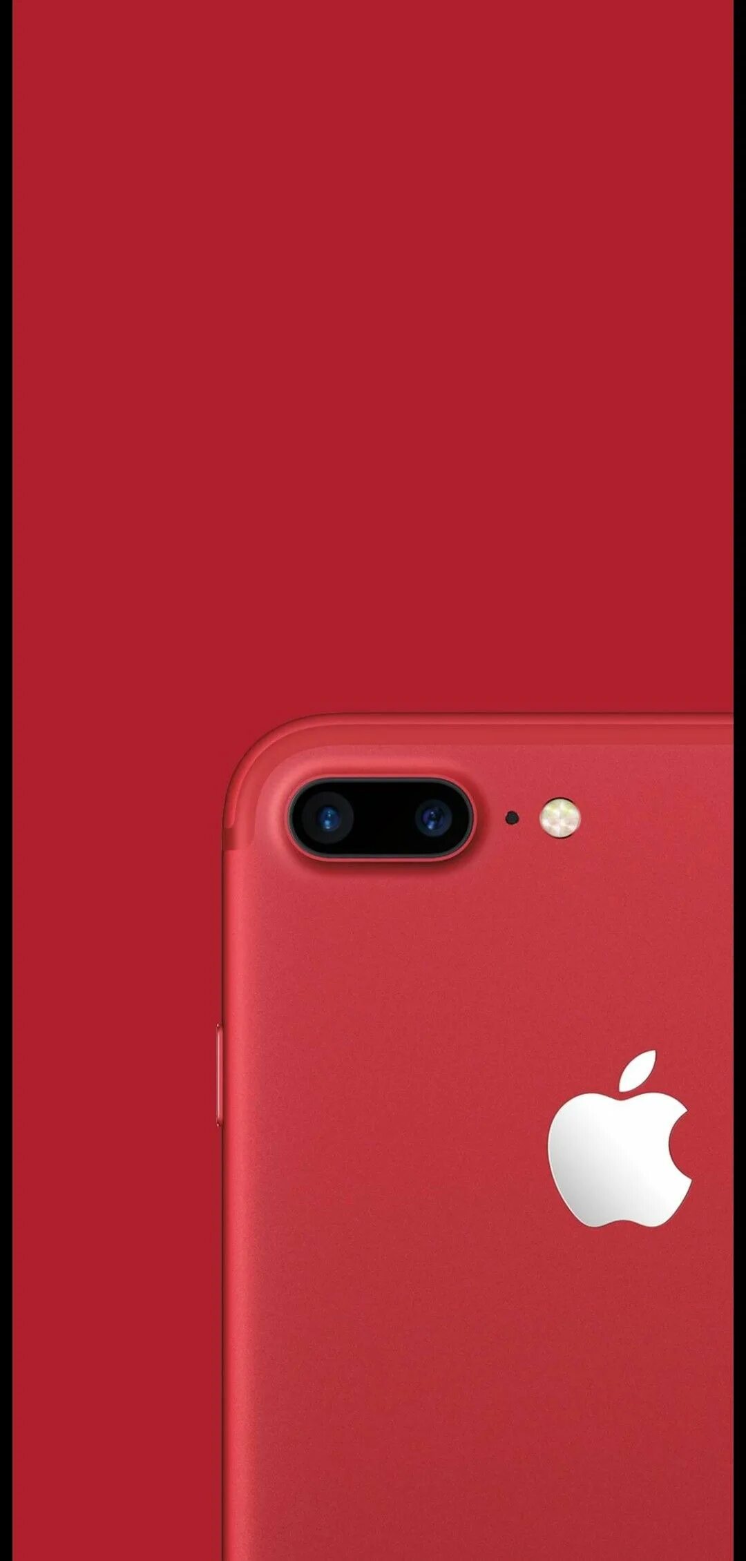 Фон apple. Apple красный. Красный логотип apple. Apple iphone 11 red. This apple red.