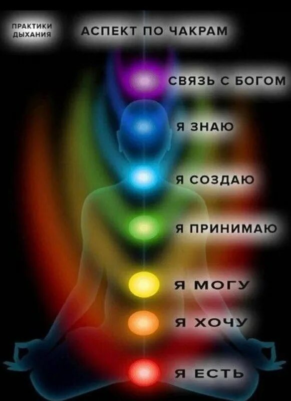Цвета чакр человека. Медитация свадхистана чакра. Сахасрара будда. Цвета по чакрам человека. Чакры человека их расположение и цвета.
